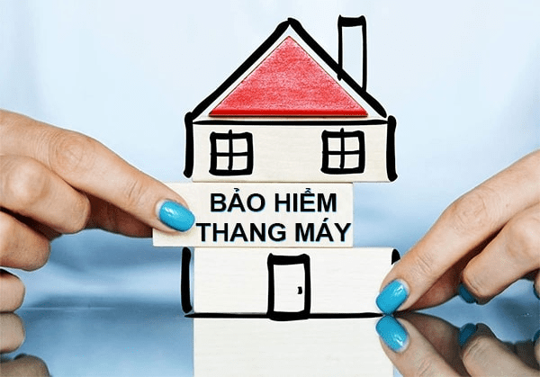 bảo hiểm thang máy